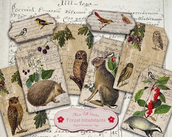 Bosbewoners Tags, Bos Tags, Woodland Tags, Printable Tags, Ephemera Tags, Digitale Gift Tags, Vintage Tags Scrapbooking Animal Tags