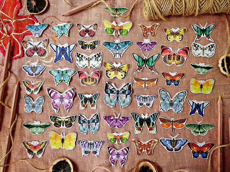 Butterflies Paper Kit 48 pcs Butterflies cut outs Butterfly Paper Ephemera Pack Scrapbooking Kit Entomology Junk Journal Lepidopterology