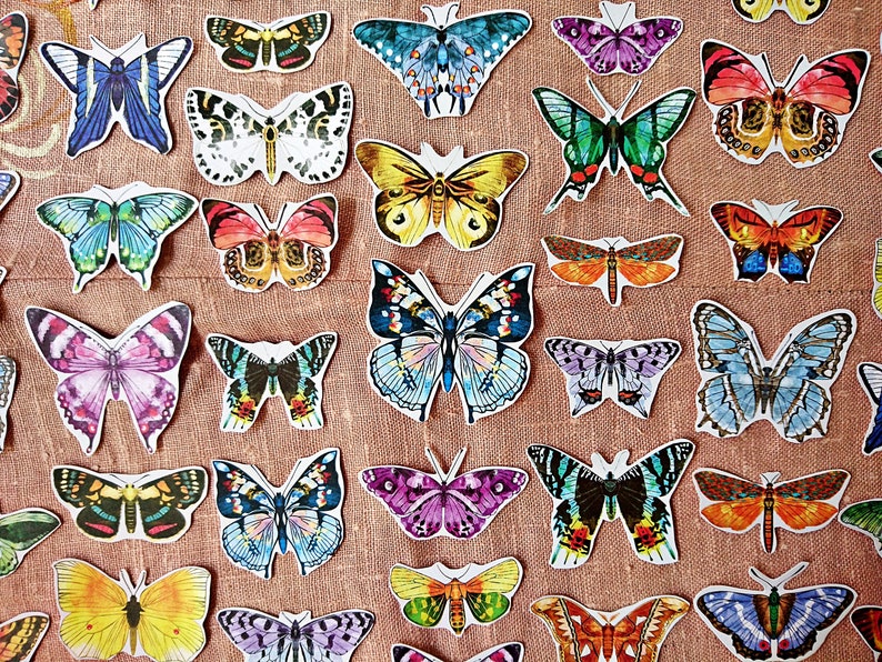 Butterflies Paper Kit 48 pcs Butterflies cut outs Butterfly Paper Ephemera Pack Scrapbooking Kit Entomology Junk Journal Lepidopterology