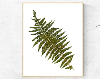 Fern poster, Fern print, Botanical wall art, Botany art Download, Fern leaf print, Printable Art for Wall, Art Decor, Crafts, Invitations