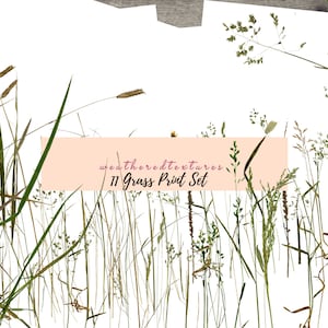 Grass Print Set of 11, Impression botanique, Arrangement d’herbe, Art imprimable, TÉLÉCHARGEMENT INSTANTANÉ, Affiche minimaliste moderne, Décor mural imprimable
