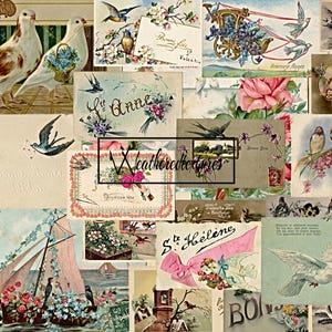 Cartoline di uccelli d'epoca, cartoline di colombe, effimere di uccelli stampabili, cartoline francesi dei primi anni del 1900, forniture per diari digitali, DOWNLOAD IMMEDIATO