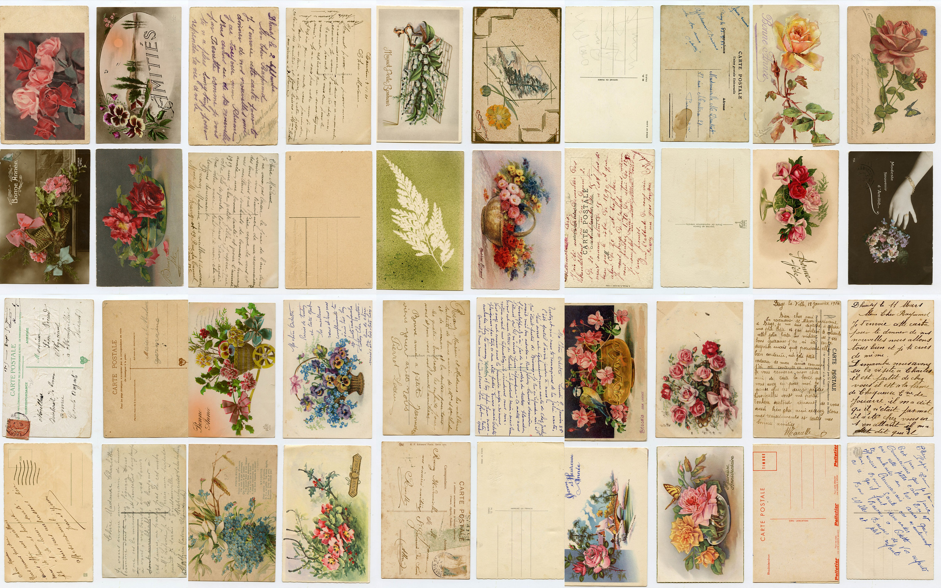 Vintage Floral Postcards Flowers Postcards Vintage French Etsy