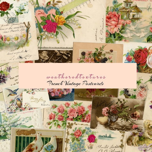 Vintage Postcards French Postcards 20 Floral Postcards Etsy