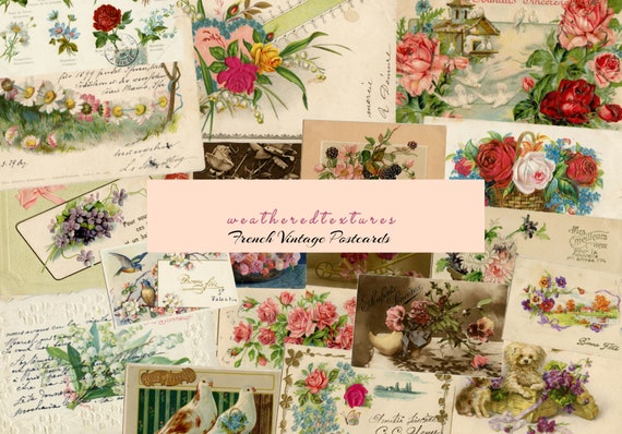 Vintage Postcards French Postcards 20 Floral Postcards - Etsy