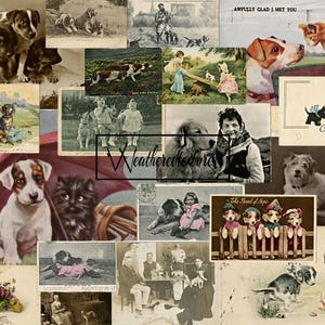 Cartões postais vintage para impressão de cães, pacote de itens efêmeros do Junk Journal, kit de cartões postais de cães 1