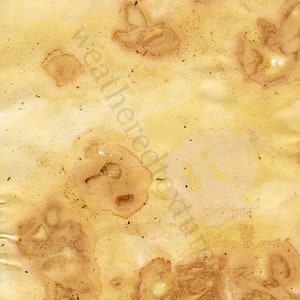 May include: A close-up of a textured, yellowed paper with brown stains. The paper has a vintage, aged look.