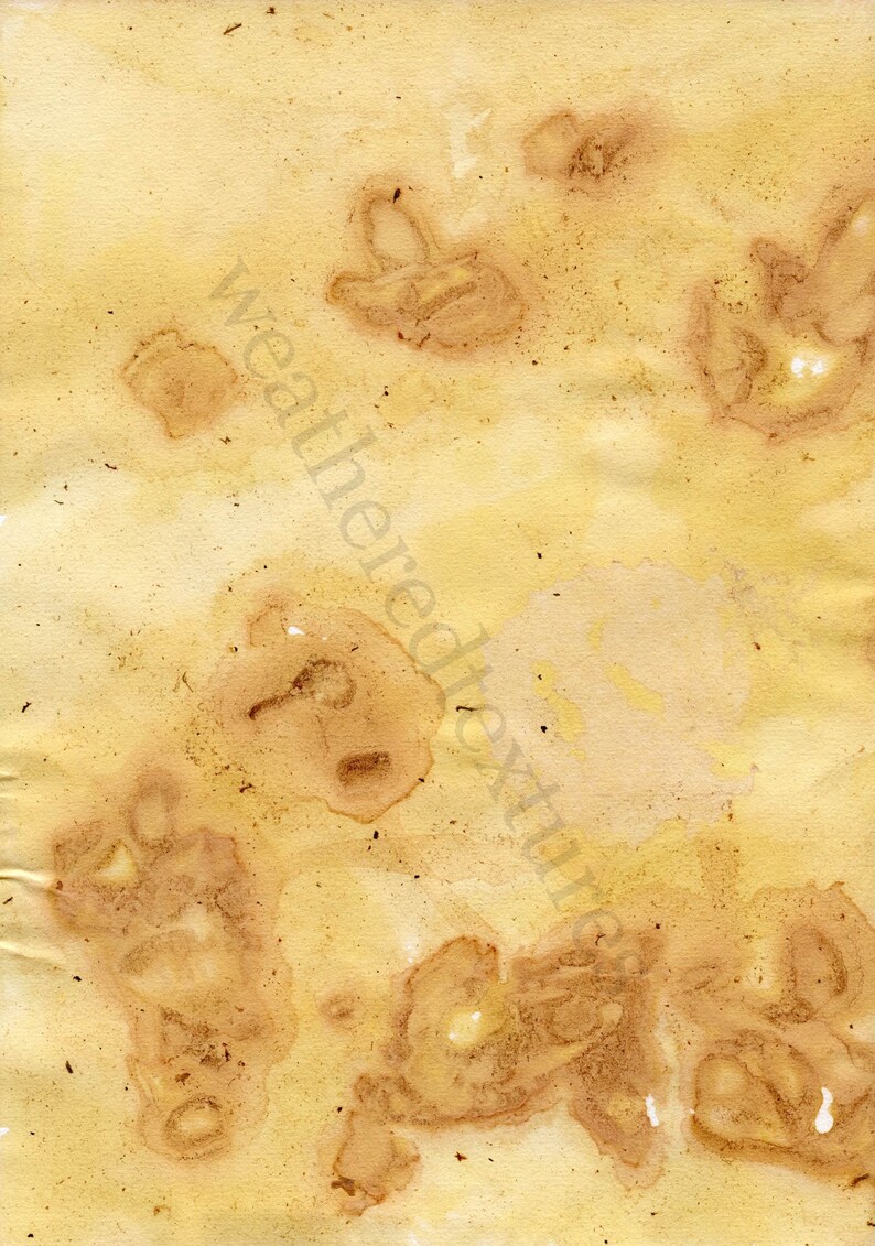 May include: A close-up of a textured, yellowed paper with brown stains. The paper has a vintage, aged look.