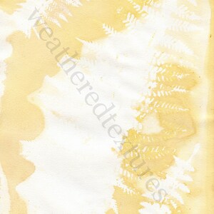 May include: A light brown textured paper background with white fern leaf silhouettes. The paper has a vintage, aged look.