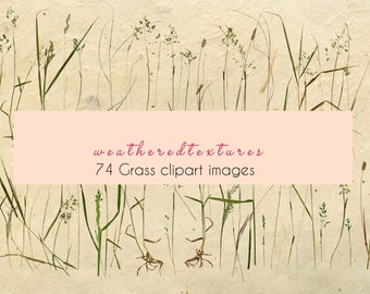 74 Grass clipart images, Wild grass clipart, Meadow clipart, Grass Clip Art, 93 Grass images, Wedding Clip Art, Invitation ClipArt