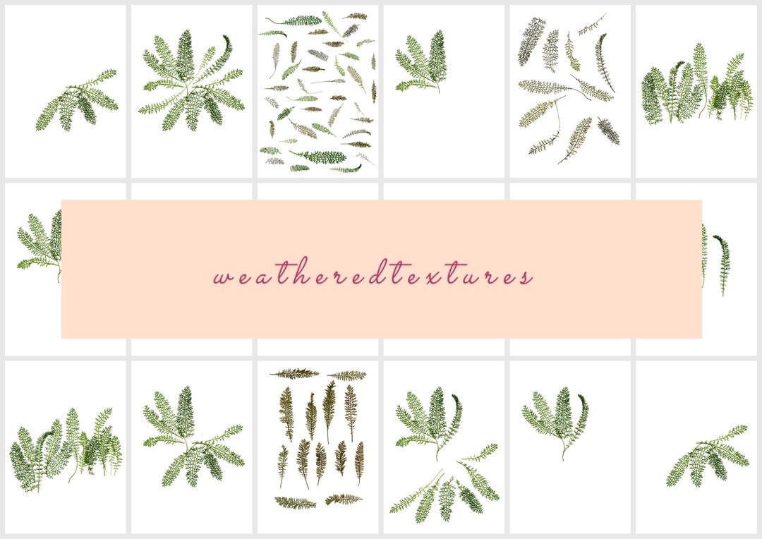 Printable Pressed Leaves, Digital Download, Printable Art, Junk ...