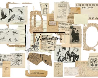 Torn Paper Clipart: Transparent PNG Files for Junk Journals (Digital Download)