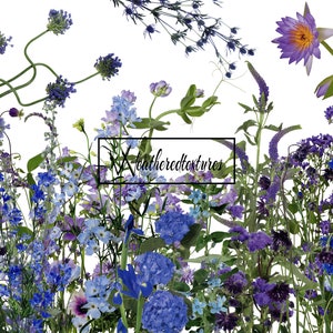 Niebieskie kwiaty clipart, 24 Flower PNG, Botaniczny clipart, Kwiatowy clipart, Fioletowe kwiaty Cyfrowy clipart