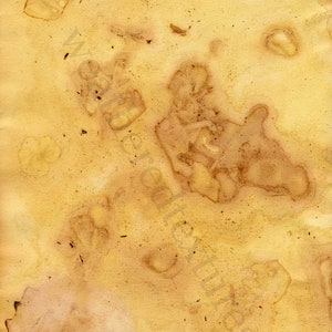 May include: A close-up of a textured, yellowed piece of paper with brown stains and speckles. The paper has a vintage, aged look.