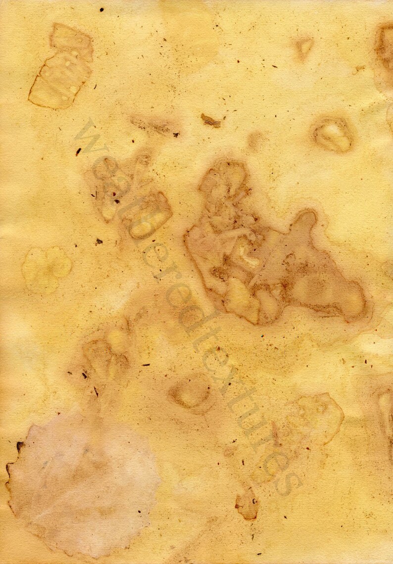 May include: A close-up of a textured, yellowed piece of paper with brown stains and speckles. The paper has a vintage, aged look.