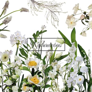 Clipart fleurs blanches, clipart botanique, floral, 20 PNG de fleurs, clipart mariage, vraies fleurs clipart numérique