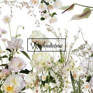 Weiße Blumen Clipart, 20 Blumen PNG, Hochzeit Clipart, Botanische Clipart, Blumen Clipart, echte Blumen Digital Clipart