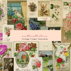Conjunto de cartões postais de flores vintage, 20 download digital, coisas efêmeras vintage, cartões postais florais, download instantâneo, cartões de diário floral