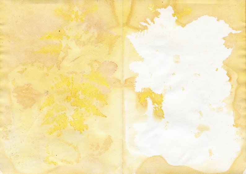 May include: A close-up of a yellowed, textured paper with a white stain in the center. The paper has a faded, vintage look.