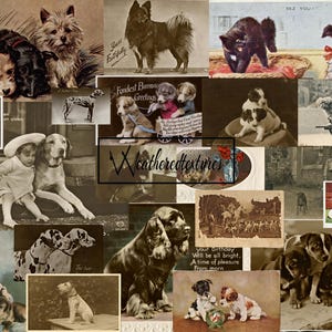 Cartões postais vintage para impressão de cães, pacote de itens efêmeros de diário de lixo, kit de cartões postais de cães 2