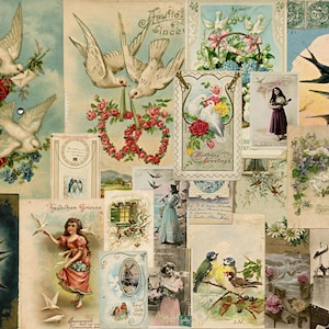 Ephemera di uccelli stampabili, cartoline di uccelli d'epoca, cartoline di colombe, cartoline francesi dei primi anni del 1900, forniture per diari digitali, DOWNLOAD IMMEDIATO