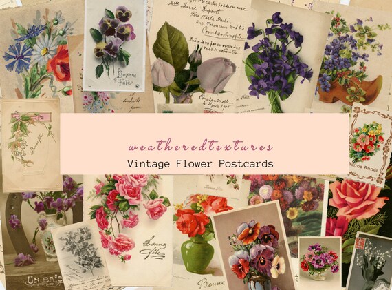 Antique French Postcards Vintage Floral Postcards Flowers | Etsy