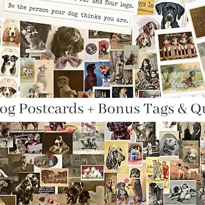 Pacchetto di cartoline vintage con cani / 80 biglietti stampabili + etichette e citazioni bonus / Kit di effimeri per diario spazzatura / Fogli di collage di cuccioli