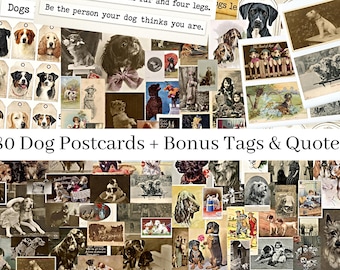 Può includere: Un collage di 80 cartoline vintage con cani di diverse razze. Le cartoline sono disposte in una griglia e mostrano immagini di cani che giocano, dormono e posano per la fotocamera. Il testo "80 Dog Postcards + Bonus Tags & Quotes" è visualizzato nella parte inferiore del collage.