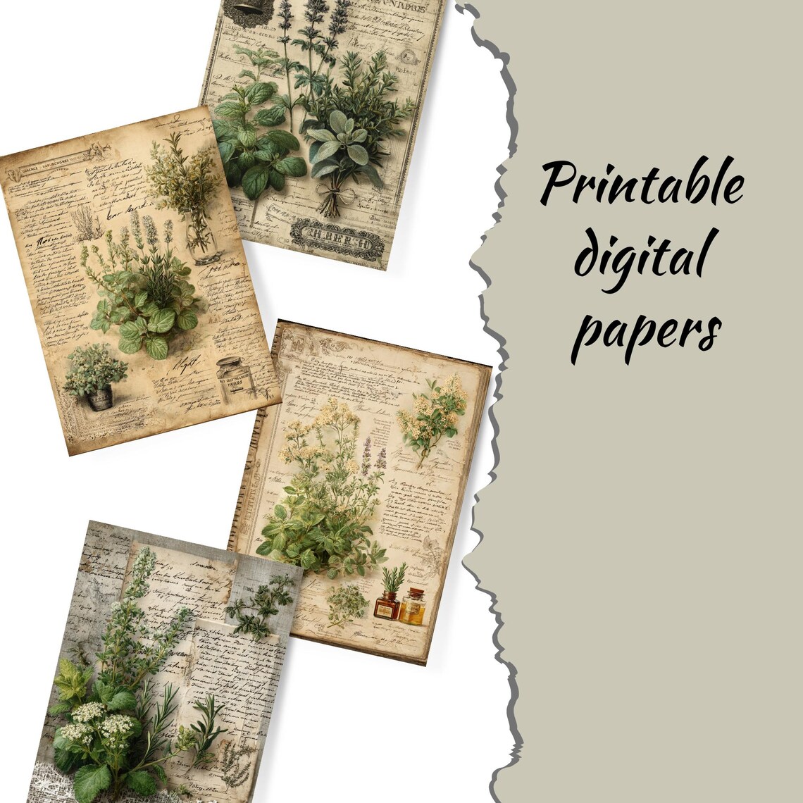 Vintage Botanical Junk Journal Pages: Printable Ephemera (digital ...