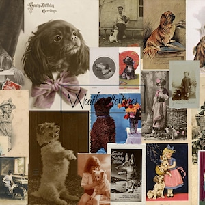 Cartões postais vintage para impressão de cães, pacote de itens efêmeros de diário de lixo, kit de cartões postais de cães 3