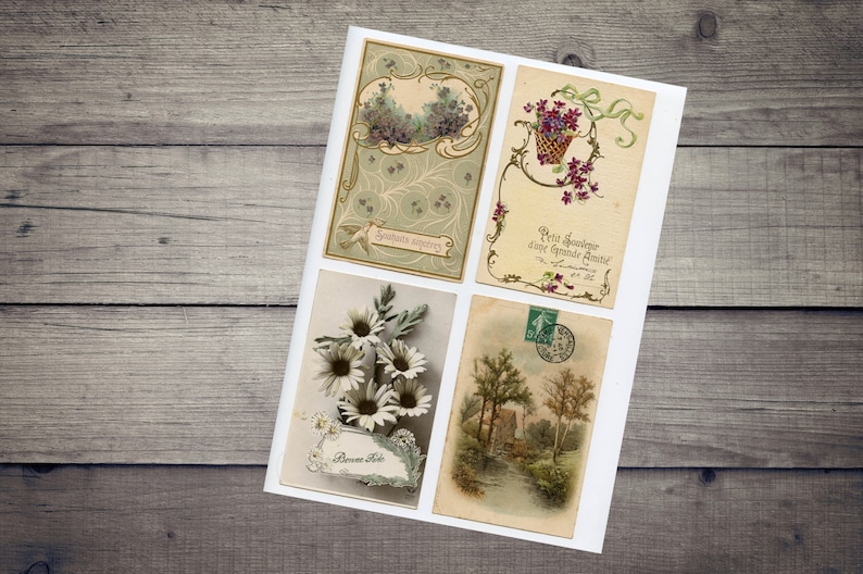 Antique French Postcards Vintage Floral Postcards Flowers - Etsy