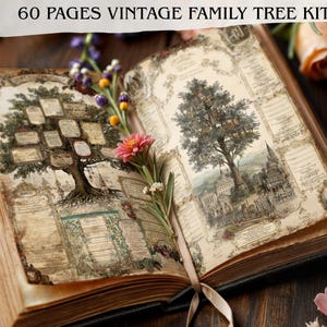 Op de afbeelding: Een 60-pagina tellende vintage stamboomset bestaande uit een open boek met verouderde, crèmekleurige pagina's. De pagina's tonen gedetailleerde illustraties van grote bomen, sierlijke randen en lege rechthoekige velden voor genealogische gegevens.