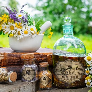 May include: Four glass bottles with labels and cork stoppers. The bottles are filled with a clear liquid. The bottles are arranged on a wooden surface with a mortar and pestle and flowers in the background. The labels on the bottles read "Skeletal Gro", "Myth Wand", and "Aging Potion".