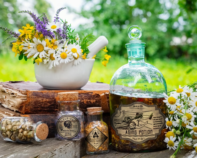 May include: Four glass bottles with labels and cork stoppers. The bottles are filled with a clear liquid. The bottles are arranged on a wooden surface with a mortar and pestle and flowers in the background. The labels on the bottles read "Skeletal Gro", "Myth Wand", and "Aging Potion".