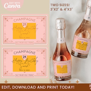 Birthday Champagne Label, Champagne Label Template, Mini Champagne Labels, Instant Download Custom Champagne Label