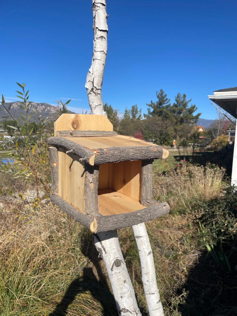 Hand-carved Cedar Spirit Birdhouse | Shou Sugi Ban Nesting Box - Etsy