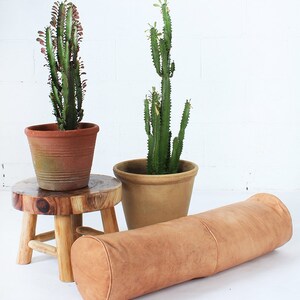 May include: Two potted cacti with green stems and a brown terracotta pot sit on a small wooden stool. A tan bolster pillow rests on the floor. The background is a white brick wall.