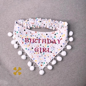 Custom Birthday Dog Bandana - Embroidered Pet Celebration Bandana