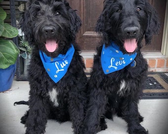 Personalized Embroidered Dog Bandana: Custom Cat Scarf