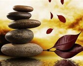1 Feng Shui prediction