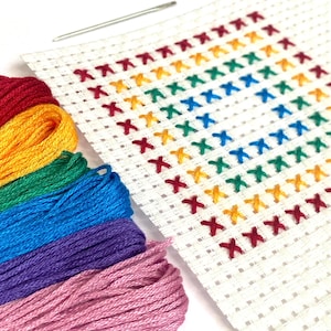 May include: A white Aida cloth with a rainbow-coloured cross-stitch pattern arranged in a grid, accompanied by a silver needle and six skeins of embroidery floss in red, yellow, green, blue, purple, and pink, all neatly coiled and aligned.