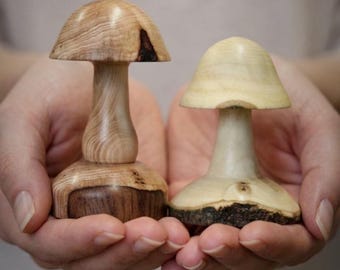 Two Wood Mushrooms...One Hickory, One Hackberry