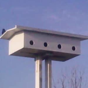 8 Unit Purple Martin House. Martins begin migrate to the U.S.A. every January so order you houses now.