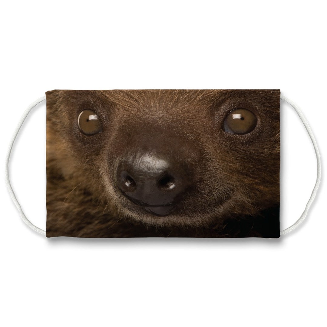 Sloth Face Mask Lazy Sloths Wild Animal Zoo Tired Etsy