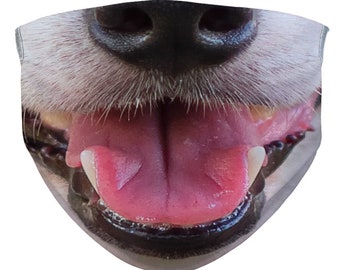 Cubierta Para Pasaporte My Daily Jack Russell Dog Summer H Cubierta Para Pasaporte My Daily Jack Russell Dog Summer H