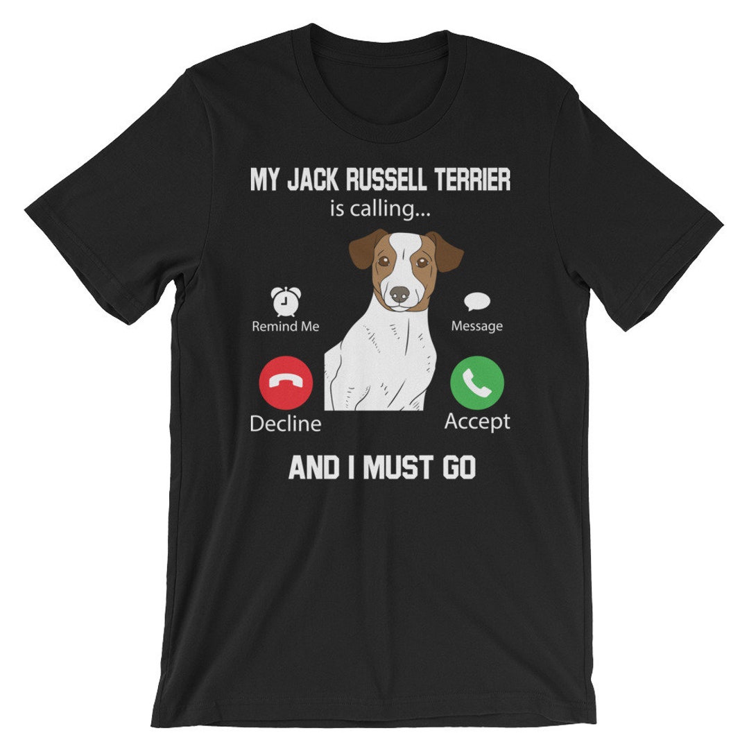 How Do You Get A Jack Russell To Come When Called