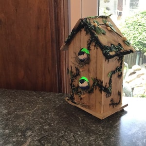 Mini fractal burned light up bird house with stained glass frit.