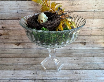 Vintage Terrarium Mink Skull Terrarium Oddity Scenery Curiosities Terrarium Bone Home Decor One of a Kind Glass Jar Decor