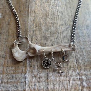 Animal Bone Necklace Pentagram Witchy Bone Necklace Viking Moon Bone Silver Tone Snake Macabre Oddity Bone Animal Bone Necklace Shaman