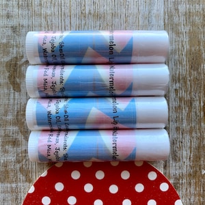 Wassermelone Lippenbalsam Wassermelone Gag Geschenk Lippenbalsam Frucht Lippenpflege Colorado gemacht Wassermelone Geschenk Wassermelone Chapstick Geschenk